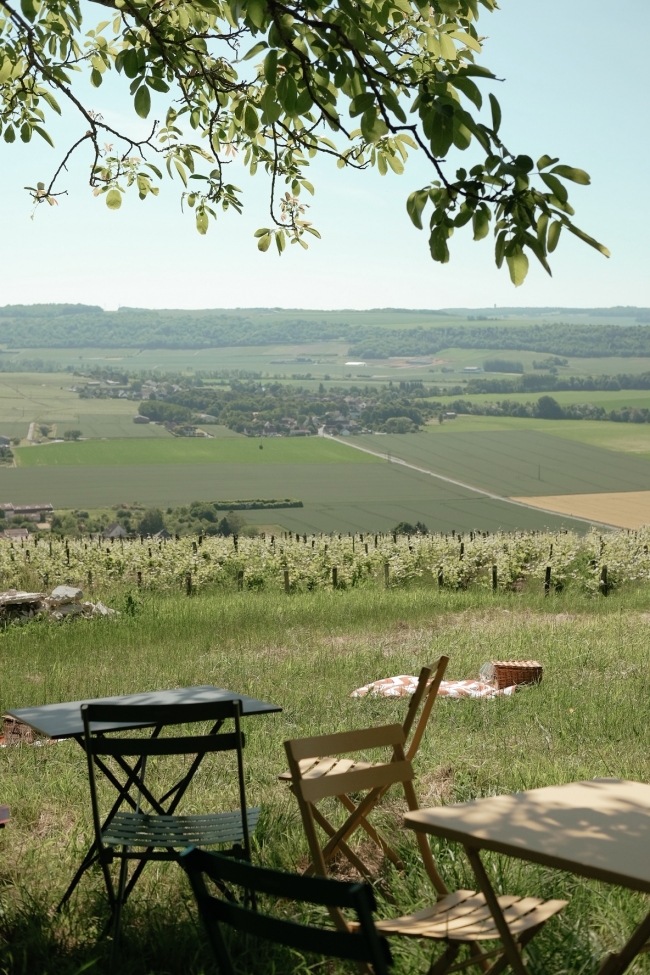 Champagne BOUCANT Emmanuel - 