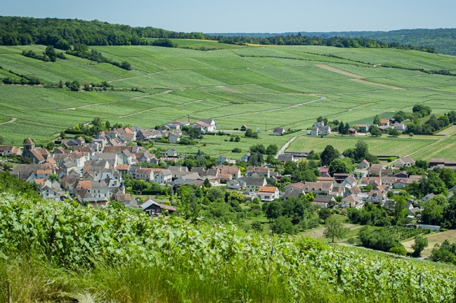 Champagne BOUCANT Emmanuel -  Champagne BOUCANT Emmanuel -