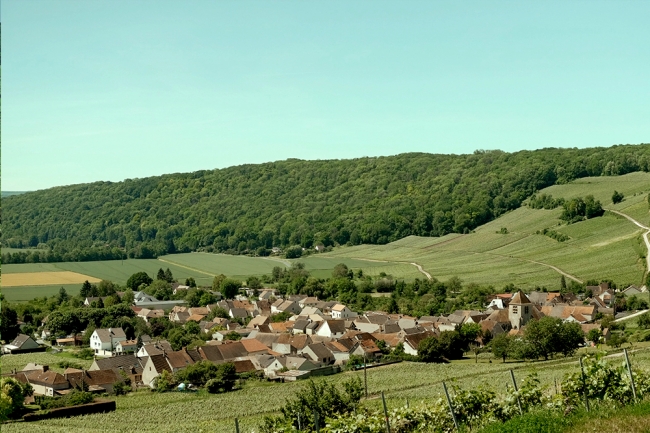 Champagne BOUCANT Emmanuel -  Champagne BOUCANT Emmanuel -